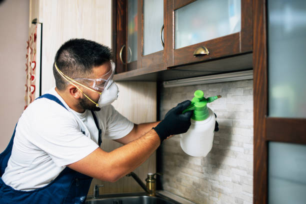 Professional Pest Control in Omak, WA