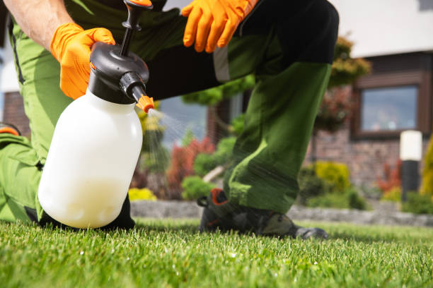 Best Rat Extermination Near Me  in Omak, WA