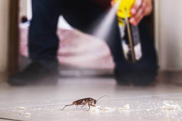 Best Ant Control Services  in Omak, WA