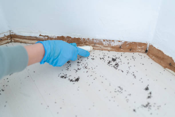 Best Pest Prevention Services  in Omak, WA