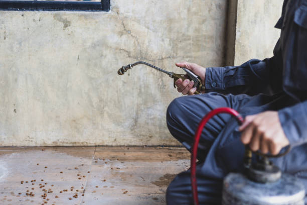 Best Pest Inspection Near Me  in Omak, WA
